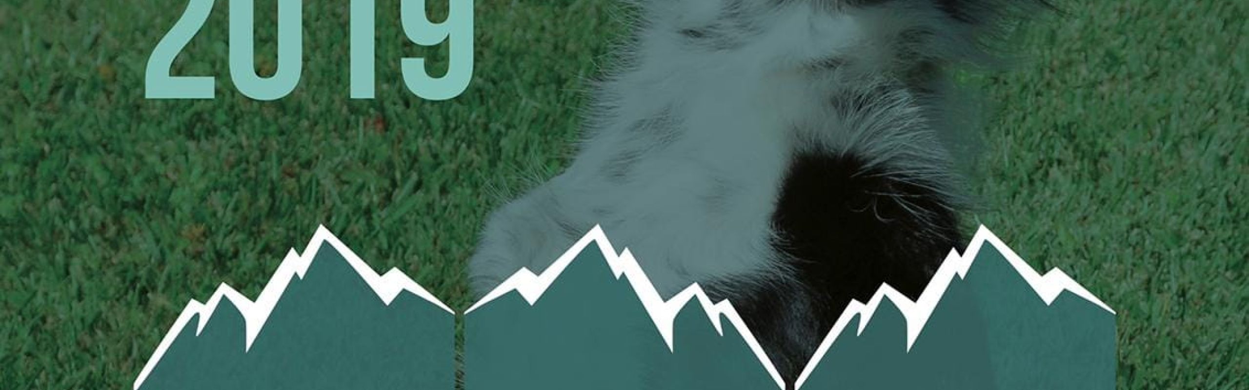 Pirineos Dog Festival