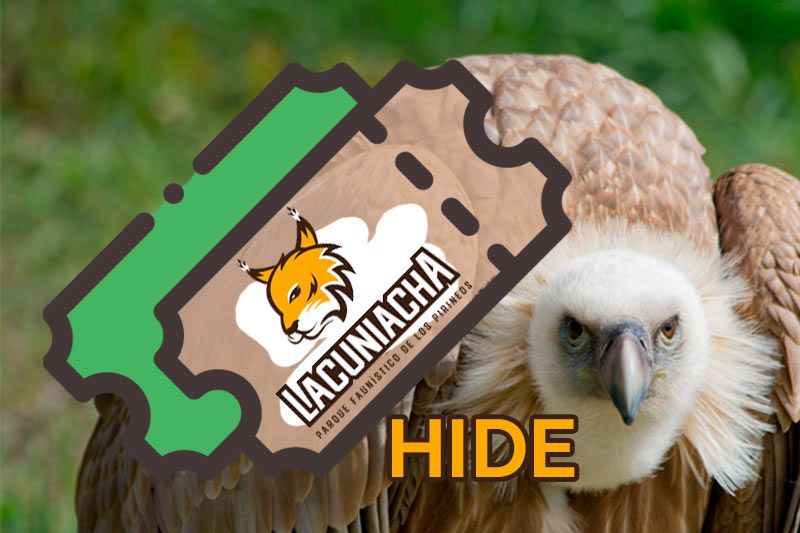 HIDE LACUNIACHA 