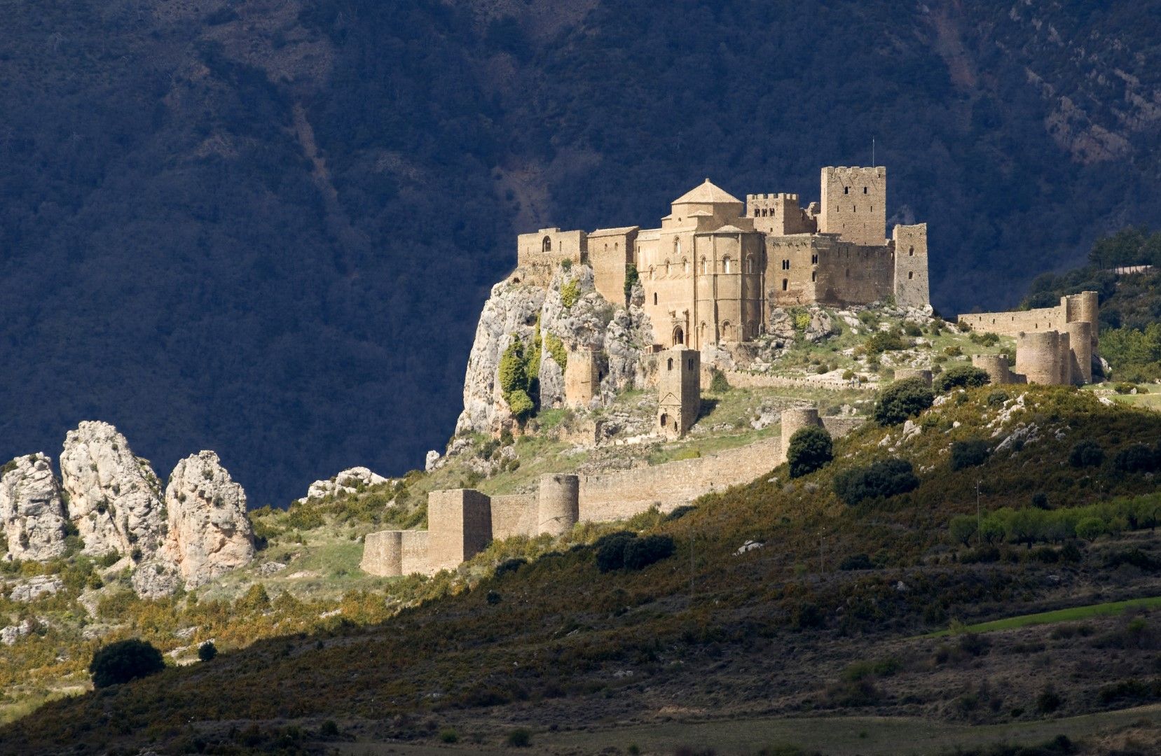 CASTILLO DE LOARRE