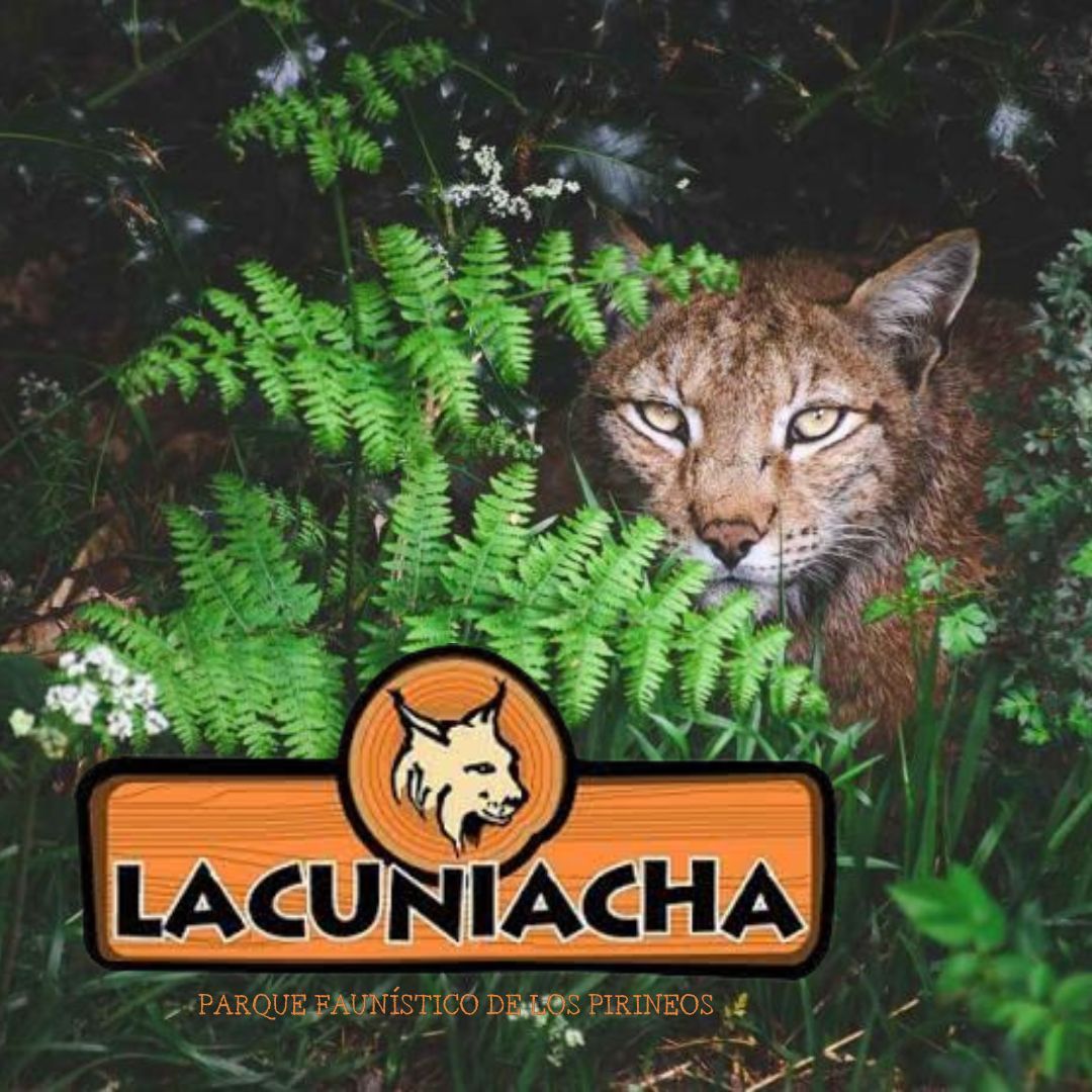 LACUNIACHA